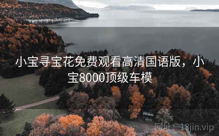 小宝寻宝花免费观看高清国语版，小宝8000顶级车模